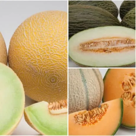 Eat melon separate