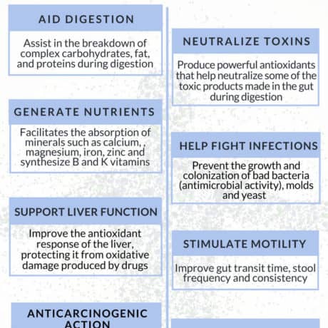 Benefits Of Probiotics And Their Effects On Digestive Health