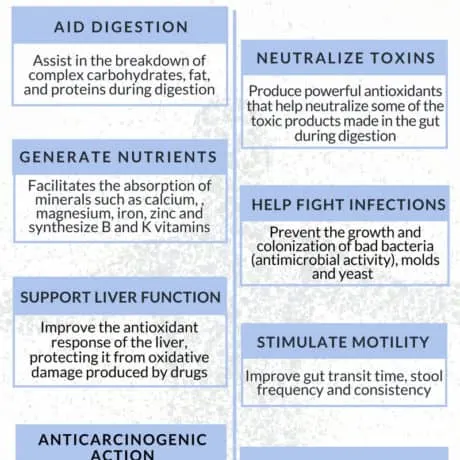 Benefits Of Probiotics And Their Effects On Digestive Health