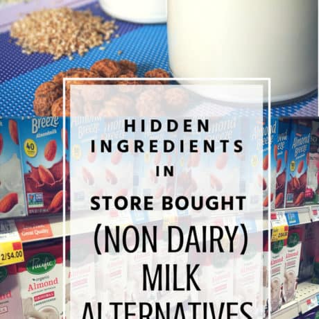 Hidden Ingredients In Store Bought (Non Dairy) Milk Alternatives