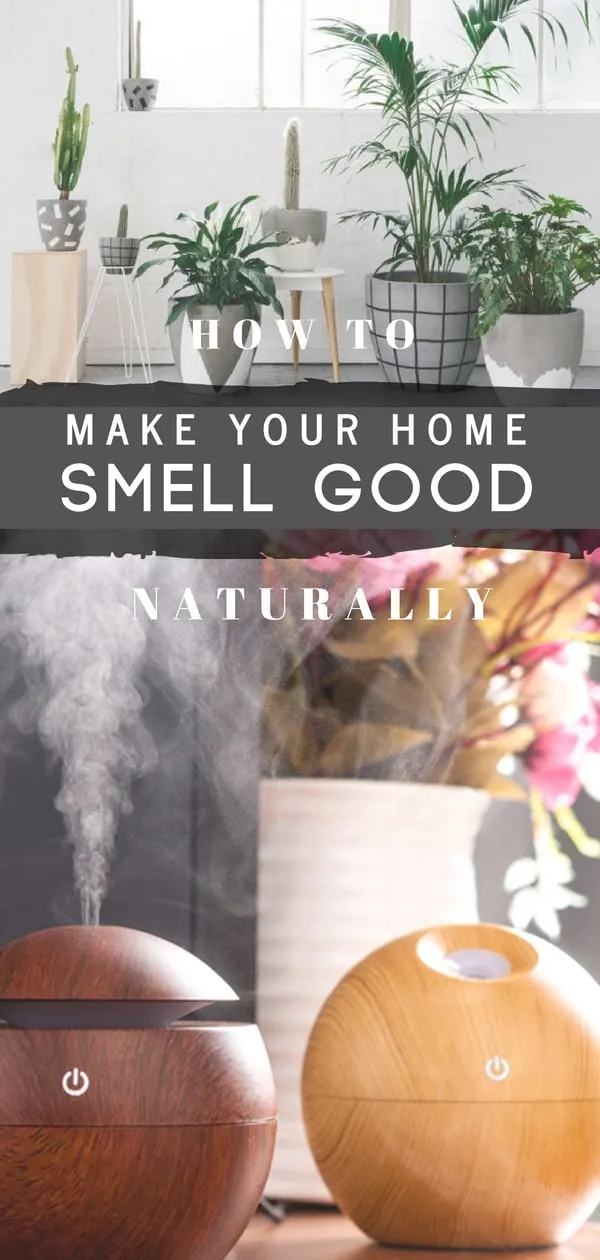 Learn how to make your house smell good at the core and all the time. Natural ways to keep your house smell good without resorting to chemicals that just cover the smell. Use plants, diffuser, natural oils and candles for a nice pleasant smell.
#homesmells  #cleaninghacks  #cleaningtips #householdtips #cleaningtips #smellgood #homehacks
