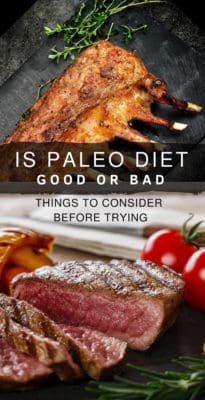 Is Paleo Diet Good Or Bad, Things To Consider Before Trying