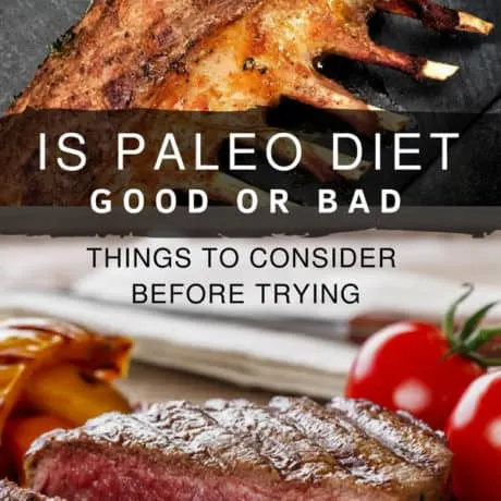 Is Paleo Diet Good Or Bad, Things To Consider Before Trying