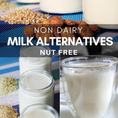 Non Dairy Milk Alternatives, Nut Free Recipes