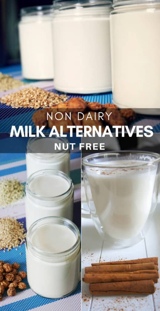 Dairy Free Nut Free Milk Alternatives | Healthy Taste Of Life