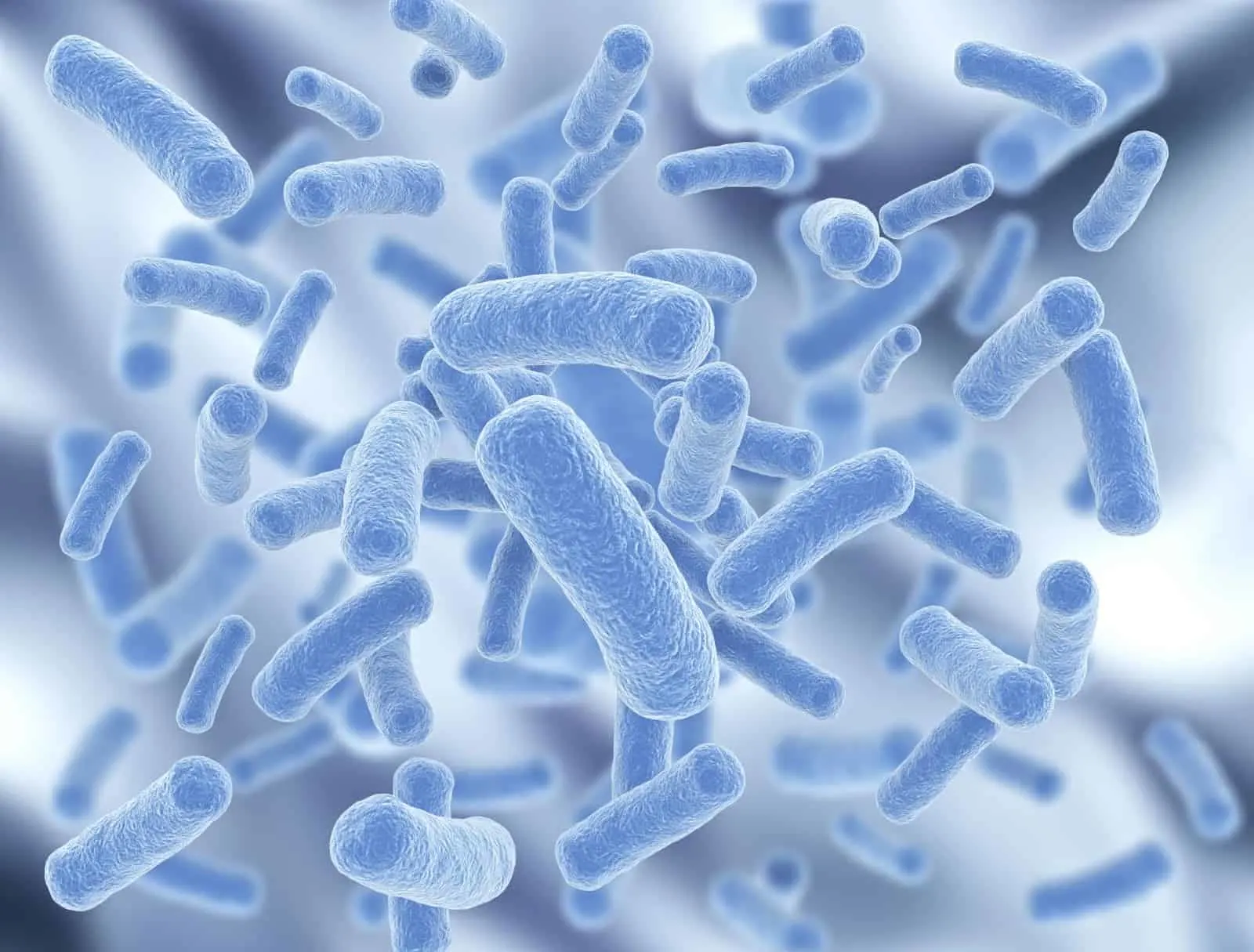 how to choose the right probiotic and tips to pick a probiotic supplement