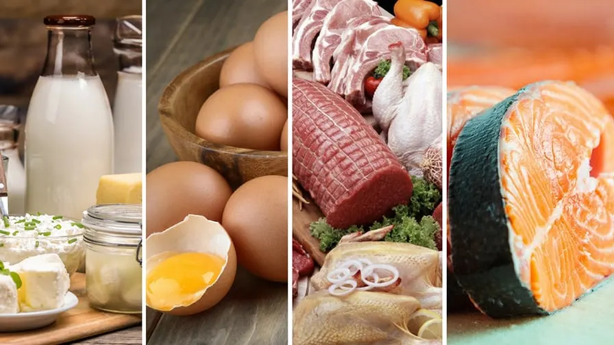 Meat fish eggs dairy products food list anti-inflammatory.