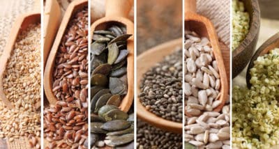 Healing chronic illness with food: best seeds and nuts to consume