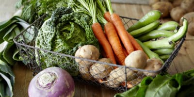 The Best Diet For Healing Chronic Illnesses: best vegetables for a gut healing elimination diet