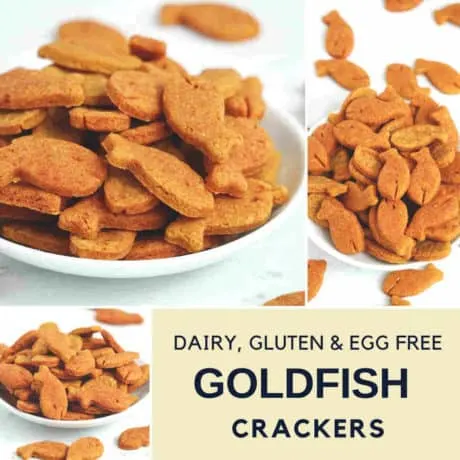 Gluten Free Goldfish Crackers (Dairy Free, Vegan)