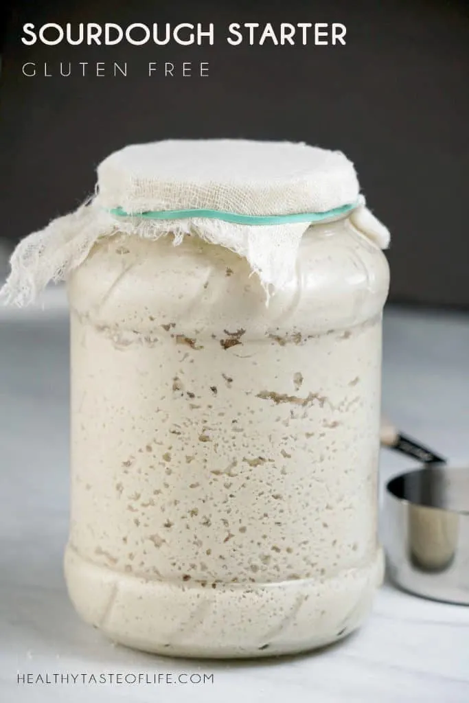 Easy gluten free sourdough starter recipe kept refrigerated in a jar