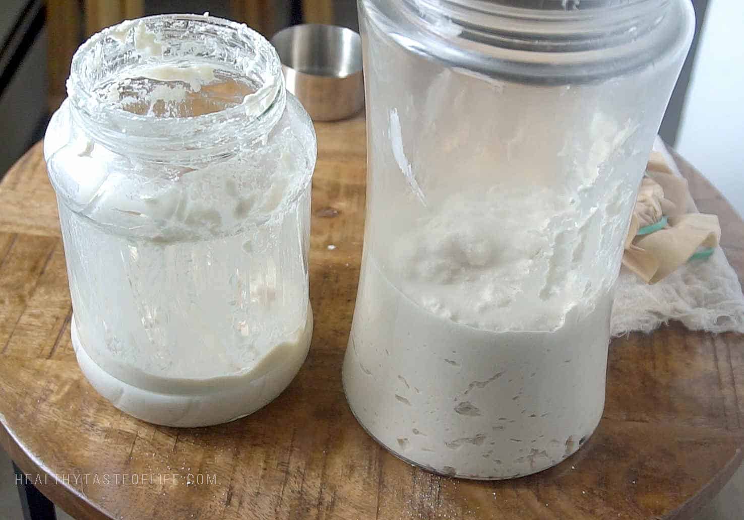Keeping the discard of gluten free sourdough starter for future recipes