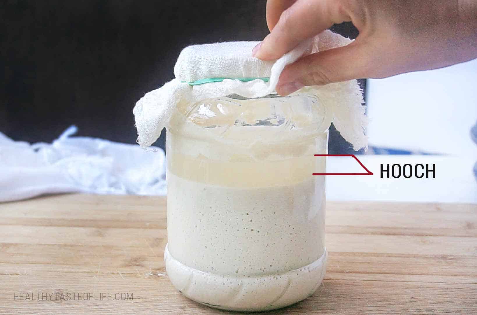 The gluten free sourdough starter has a layer of liquid on top called hooch