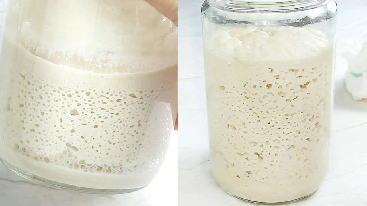 Bubbling and active gluten free sourdough starter