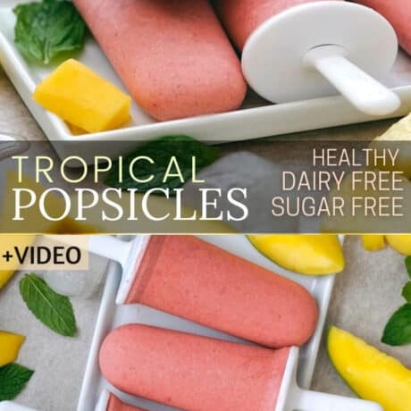 tropical popsicles ice pops sugar free dairy free.