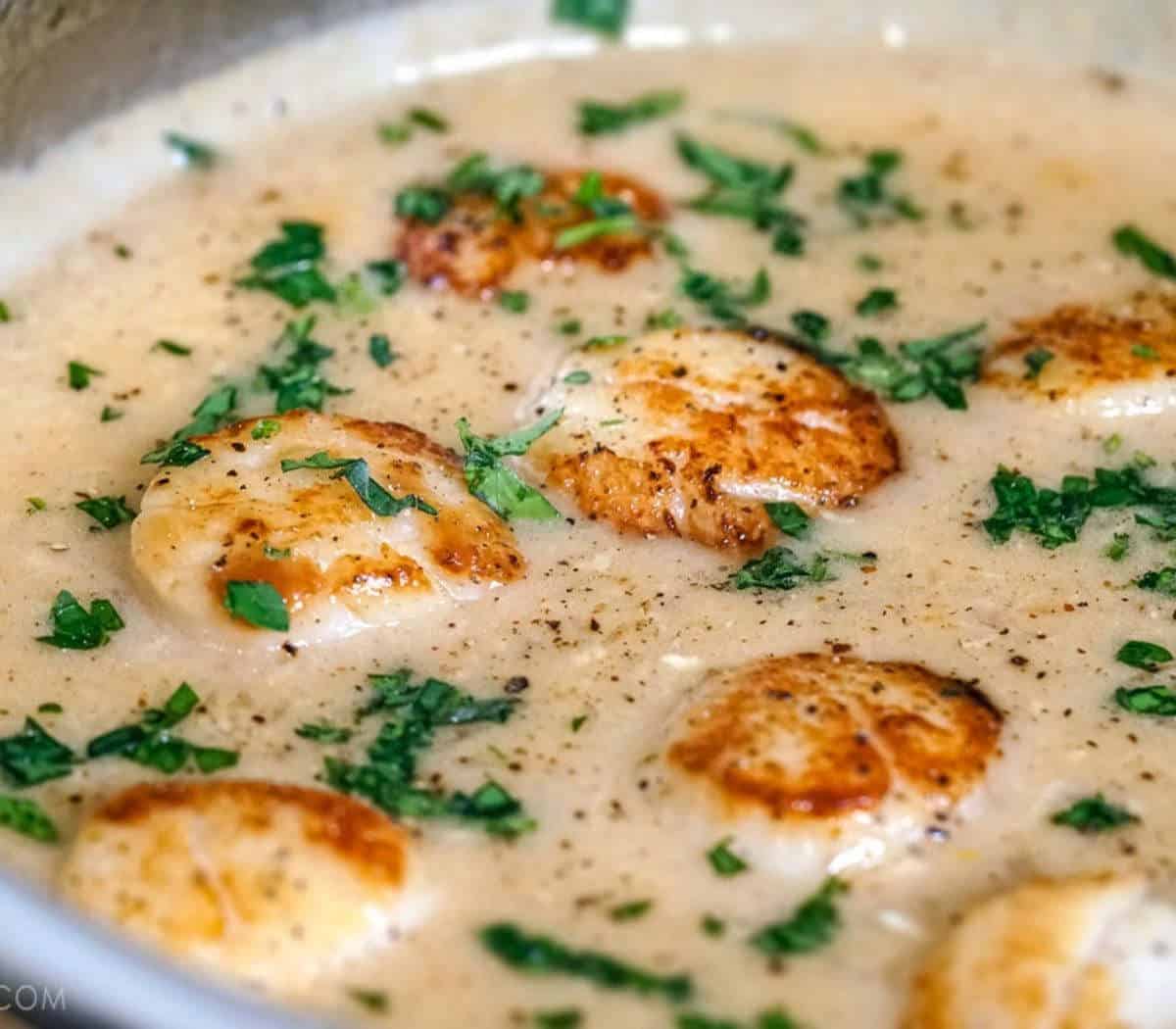 paleo whole30 scallops dairy free sauce Healthy Taste Of Life