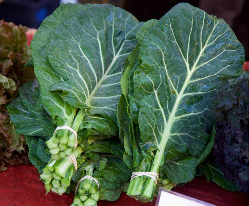 Antiinflammatory Juice Recipe for Whole Body Health Healthy Taste Of