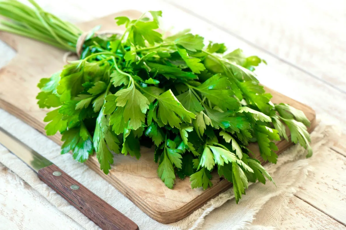 Bunch of parsley on a board.