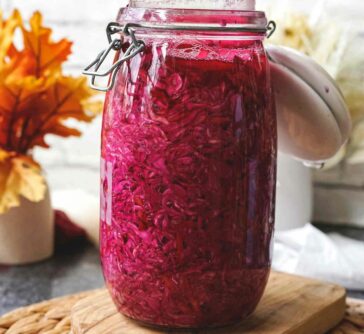 red cabbage sauerkraut recipe