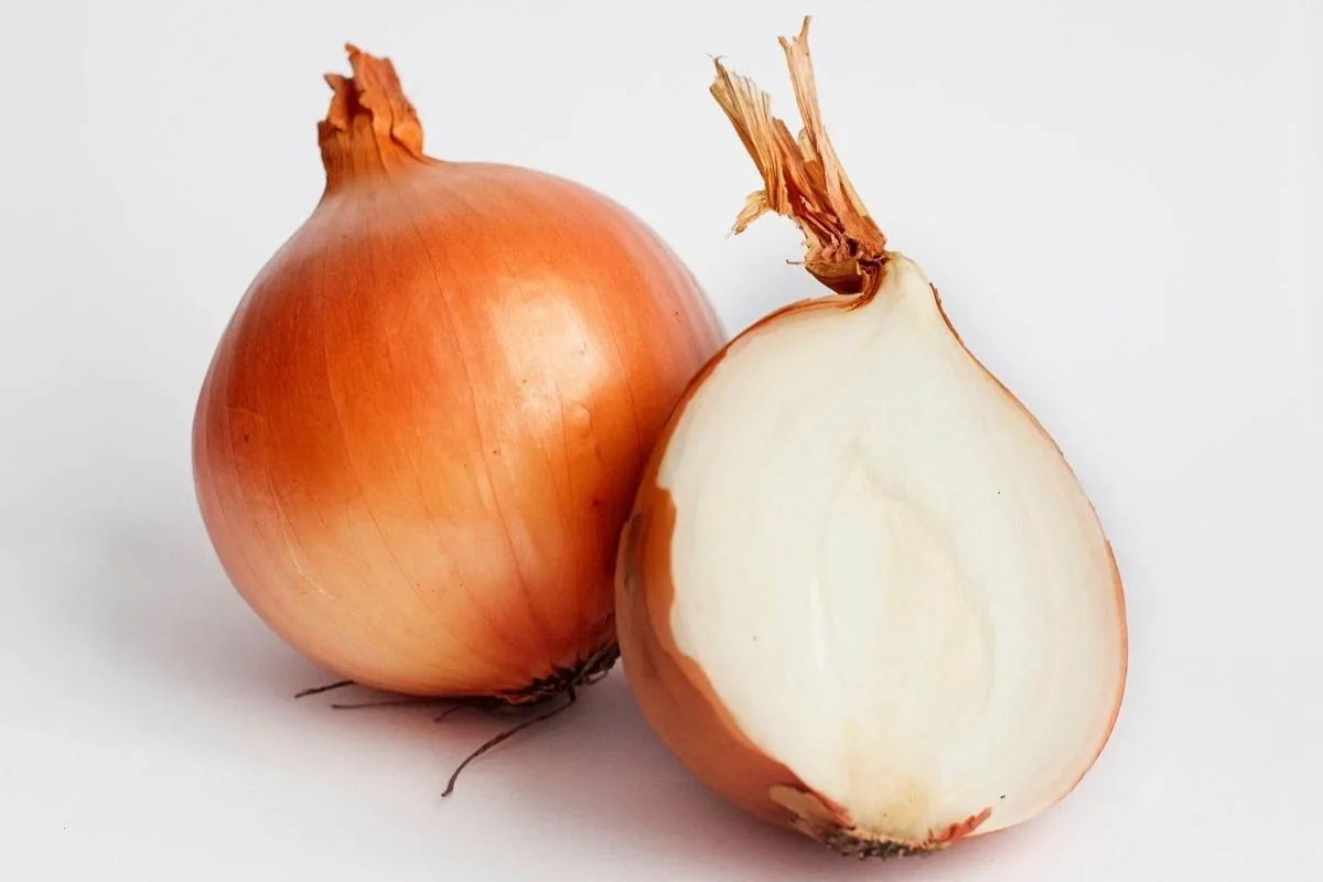 raw onion