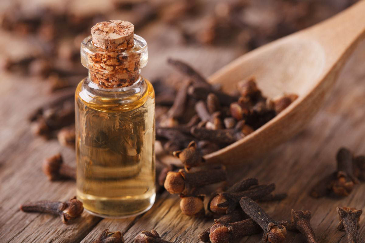 Clove oil for toothache pain infection.