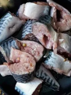 fermented fish mackerel featured image