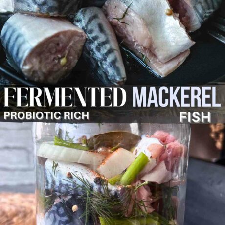 Learn how to preserve fresh mackerel with this ultimate guide on lacto-fermented fish! Unlock the secrets to perfectly fermented fish, learn the differences between cured mackerel and Surströmming, and experiment with flavors using different seasonings. Whether you're a fermentation novice or pro, this guide is a treasure trove of tips and recipes for fresh mackerel. #FermentedMackerel #FermentedFish #PreservingMackerel