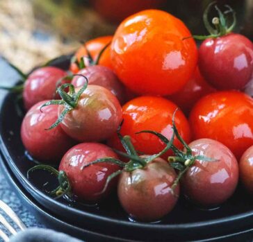 fermented tomatoes and cherry tomatoes pickled featured image