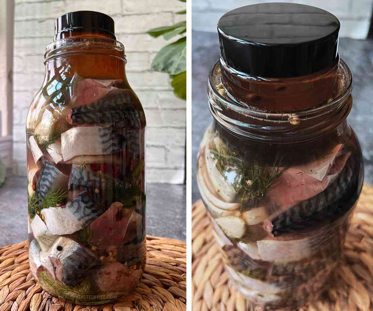 How to ferment mackerel fish at home in a jar shown ready with brine and weight on top.