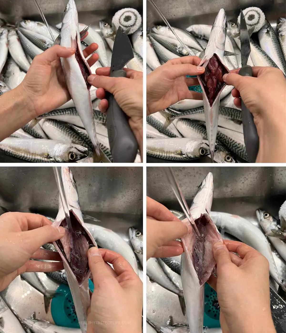 Preparing the fish for fermentation by removing the guts by making a slit along the fish's belly and pulling out the internal organs.