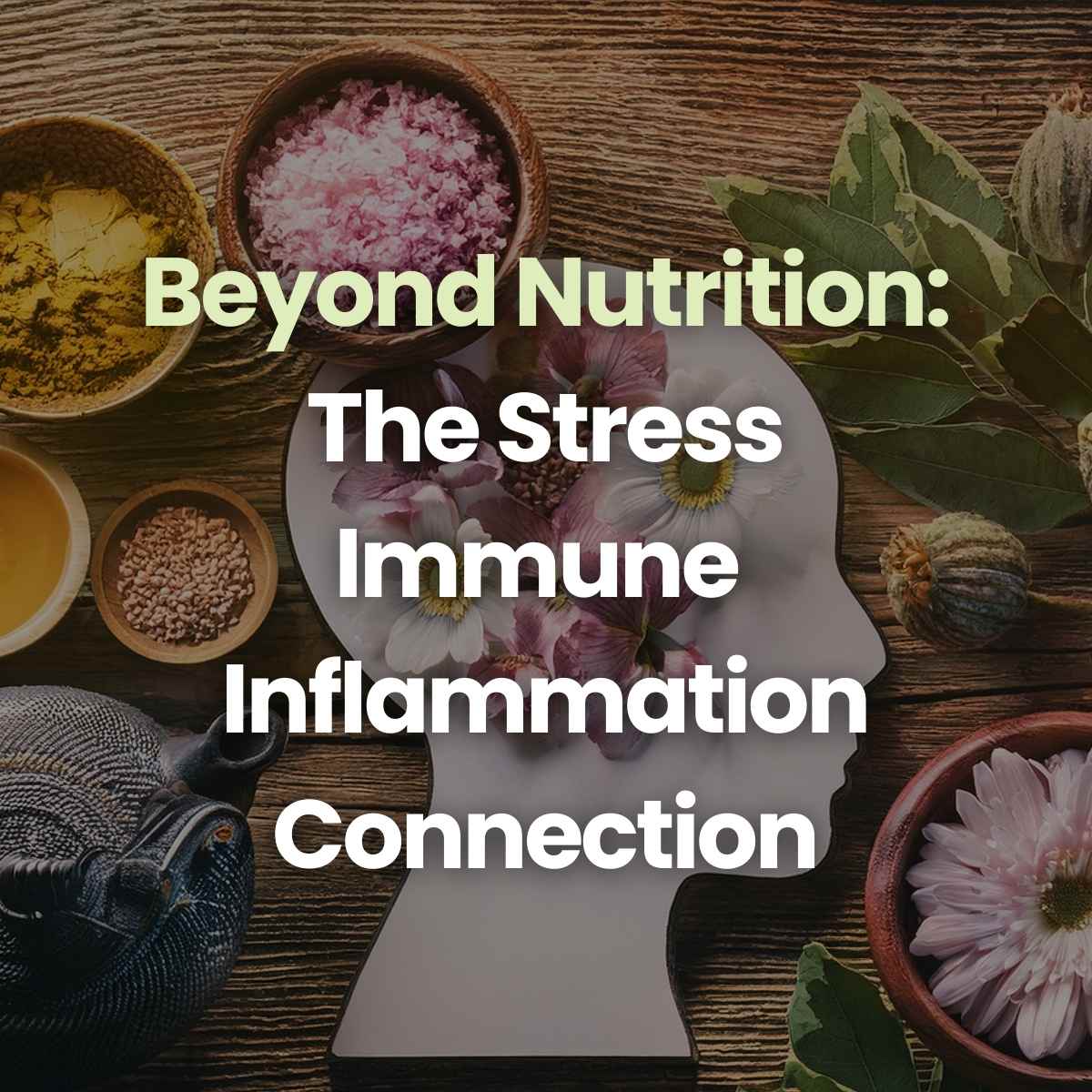 featured image: face figure with title Beyond Nutrition: The Stress - Immune - Inflammation Connection