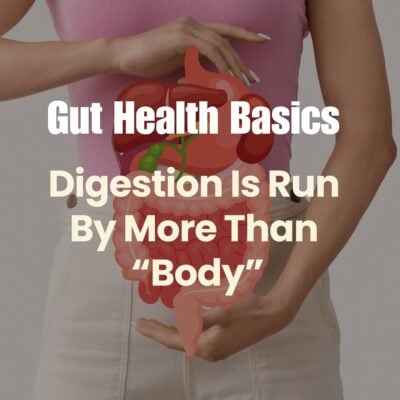 Gut health basics Digestive system featured image