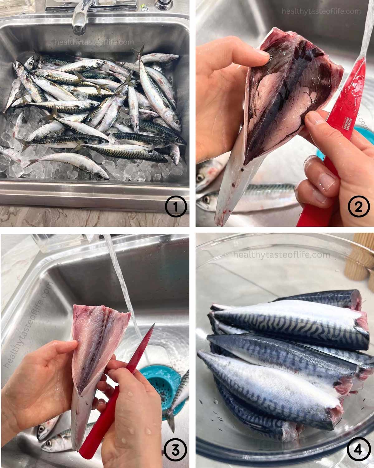 Images collage showing how to clean mackerel by removing the head, tail, fins and innards and wash thoroughly